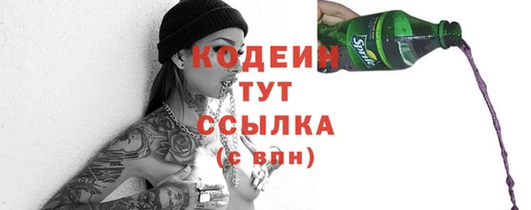 прущие грибы Медногорск