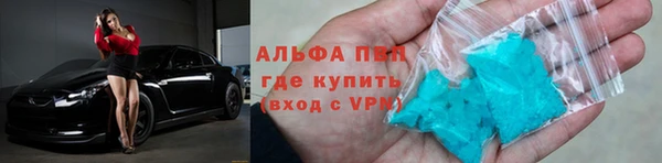 прущие грибы Медногорск